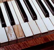 Ivory keytops missing